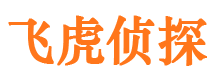 成县侦探公司